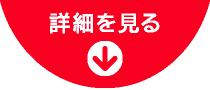 詳細を見る